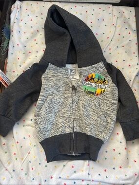 toddler yellowstone Gray Hooded Zip-Up Sweatshirt